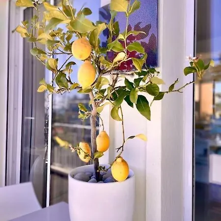 Apartmán 2p Bonjour Soleil *